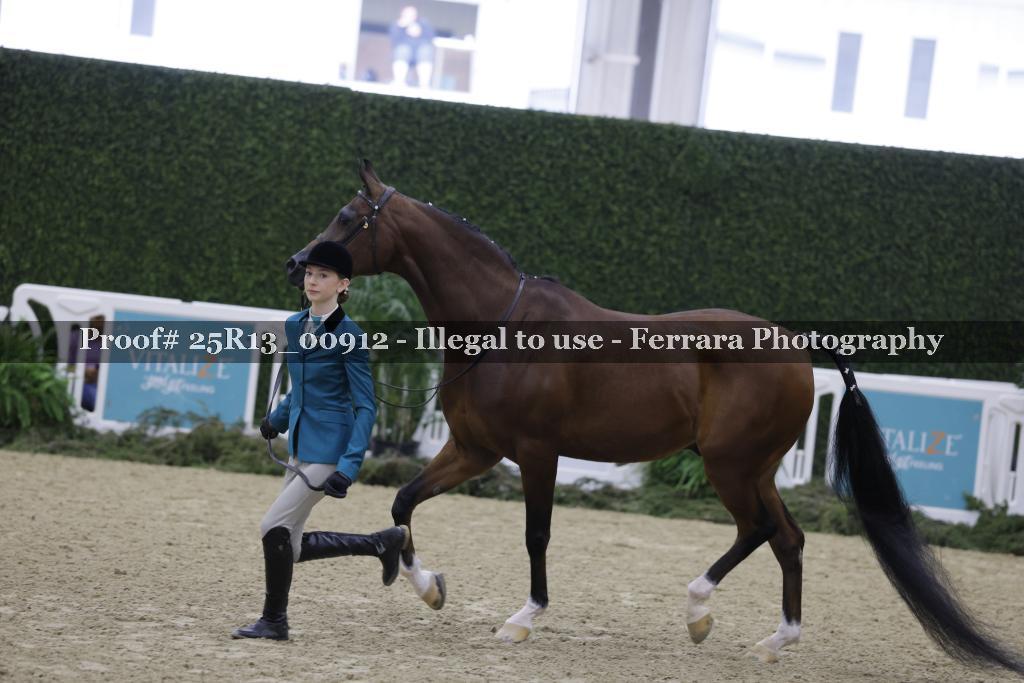 Proof 25R13_00912