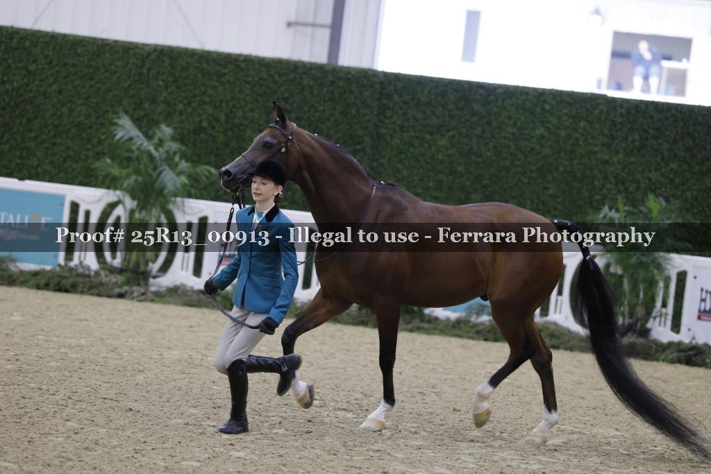Proof 25R13_00913