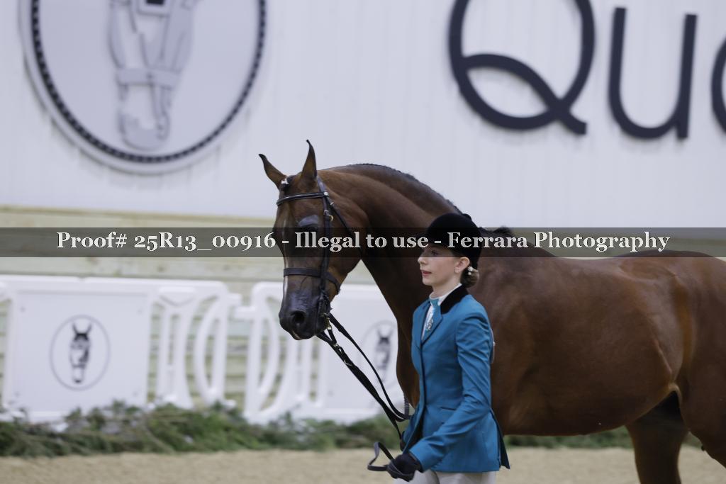 Proof 25R13_00916