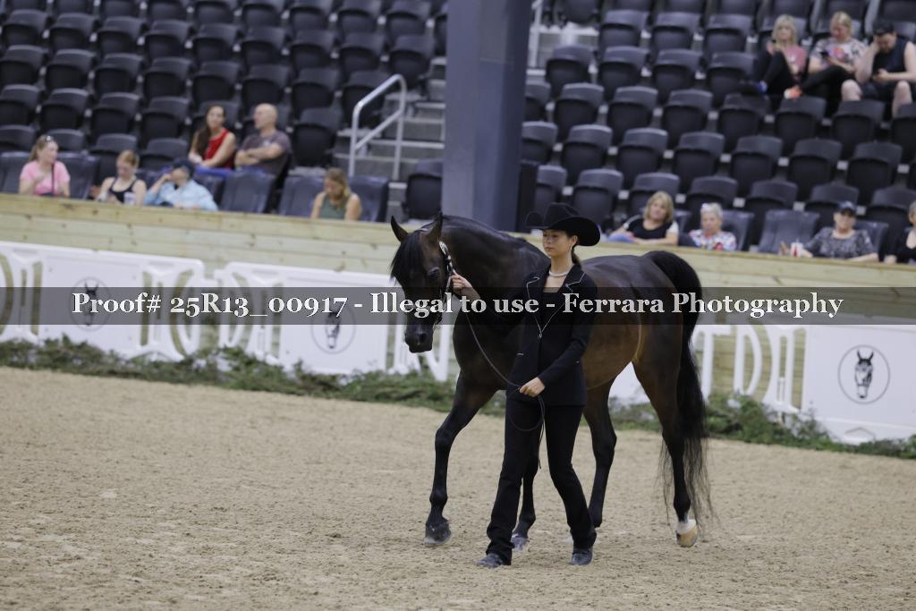 Proof 25R13_00917