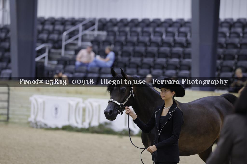 Proof 25R13_00918