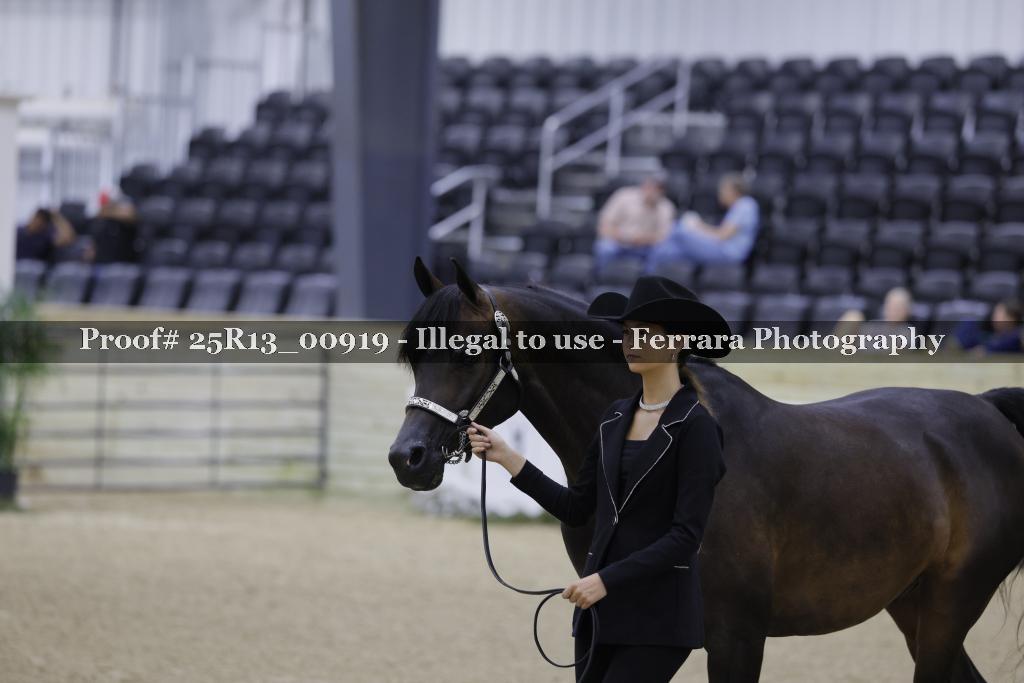 Proof 25R13_00919