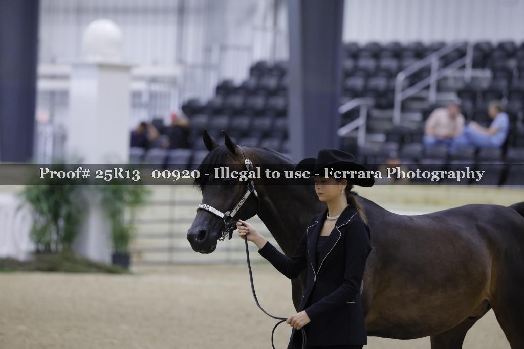 Proof 25R13_00920