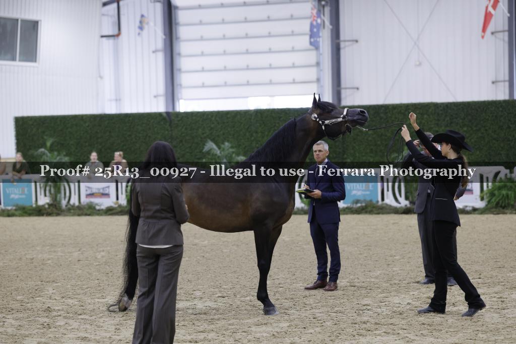 Proof 25R13_00927