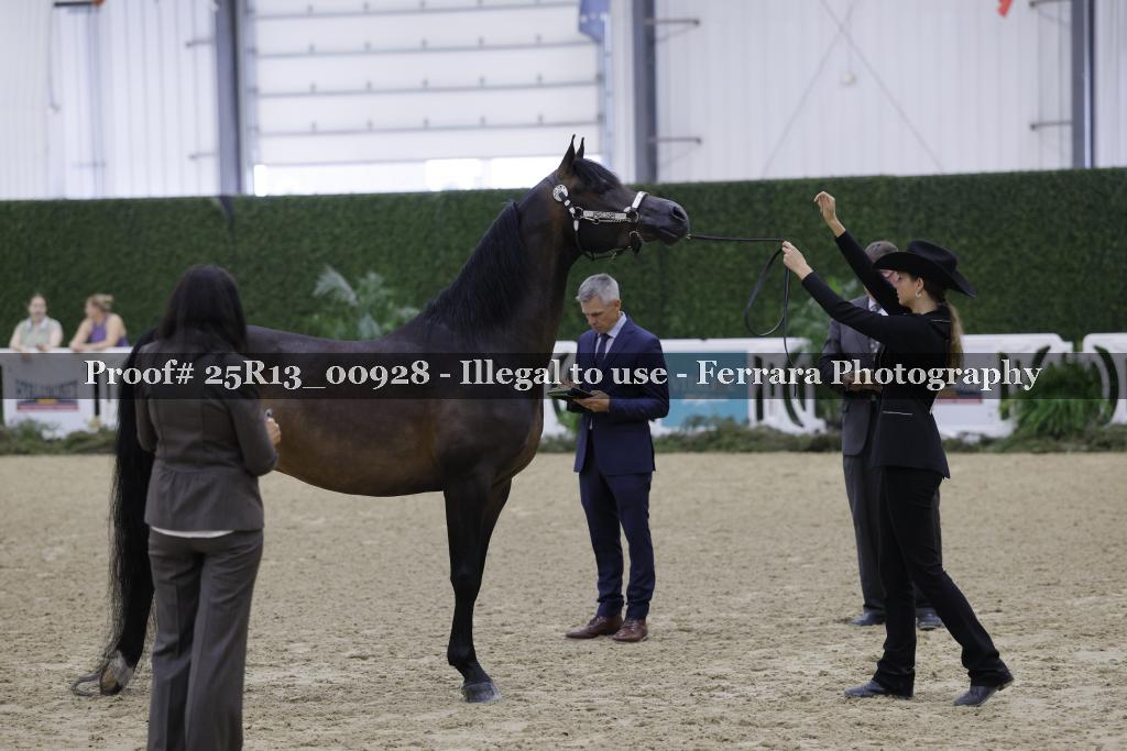 Proof 25R13_00928