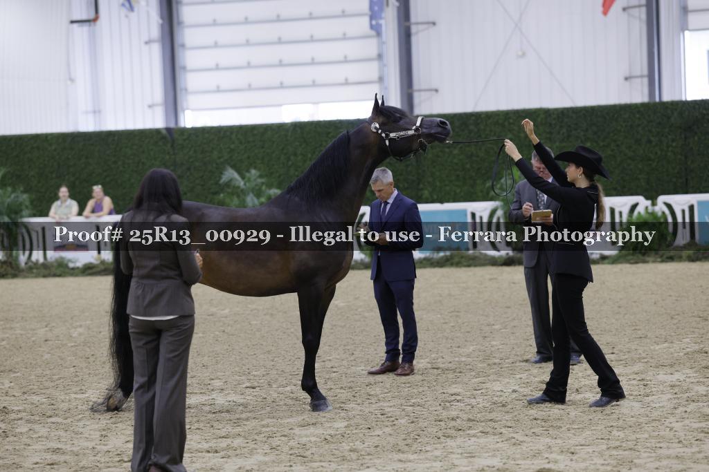 Proof 25R13_00929