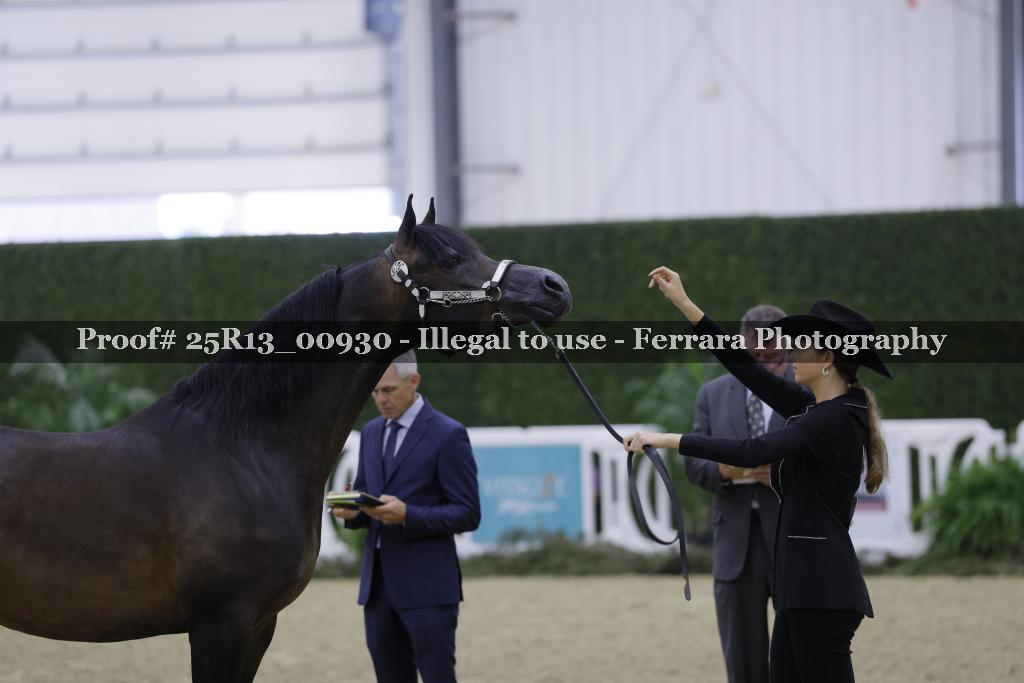 Proof 25R13_00930