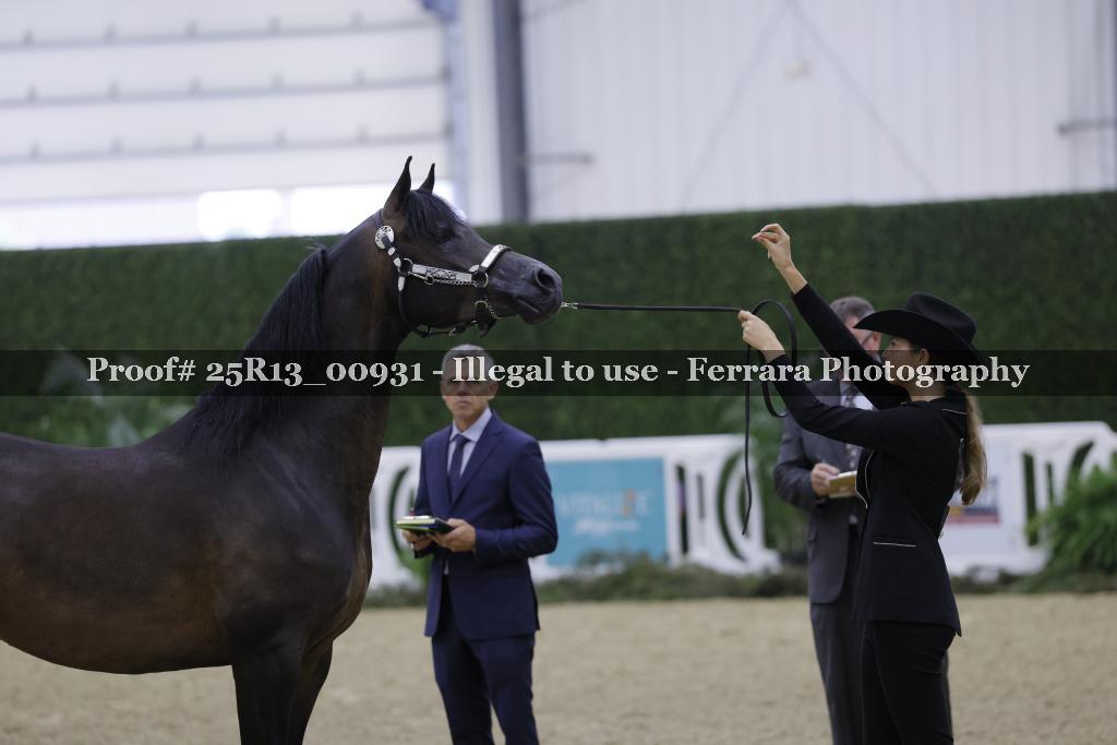 Proof 25R13_00931