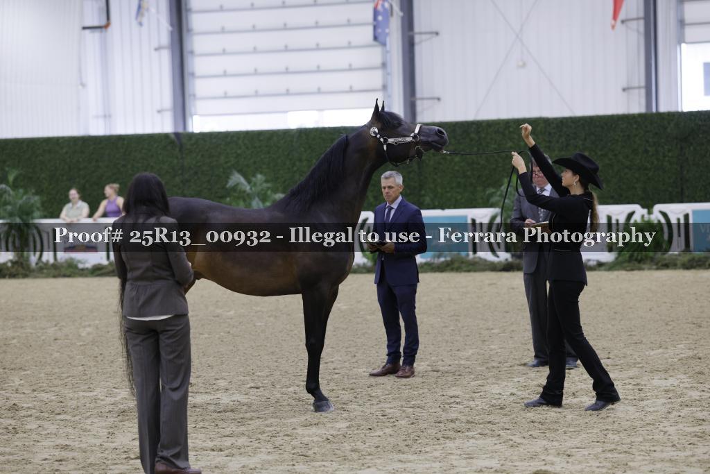 Proof 25R13_00932
