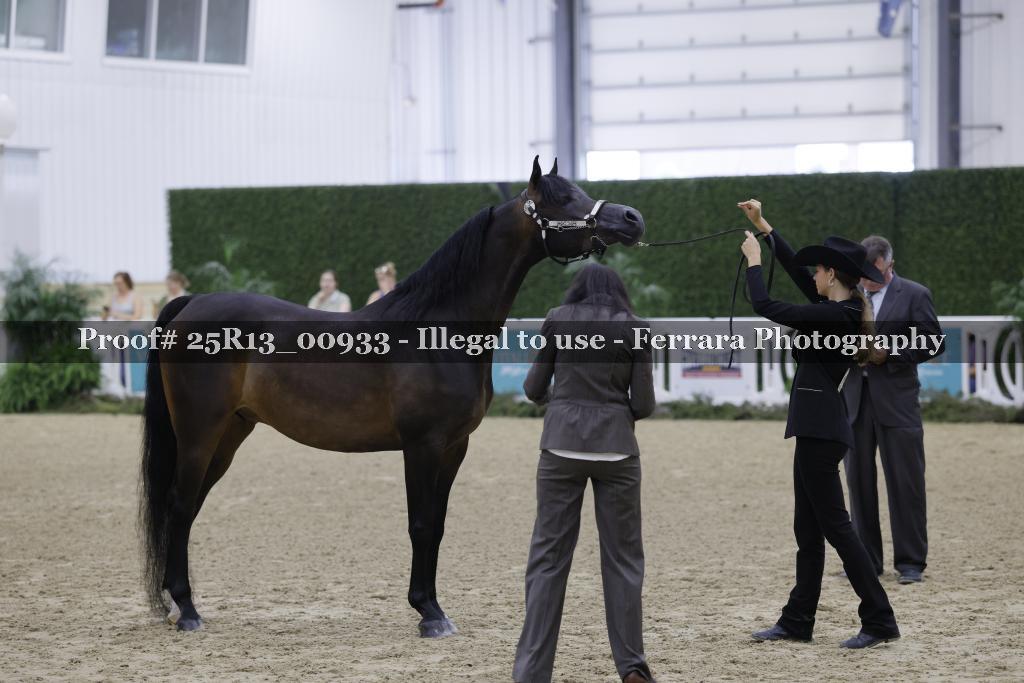 Proof 25R13_00933