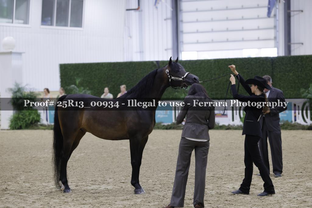 Proof 25R13_00934