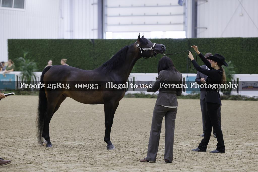 Proof 25R13_00935
