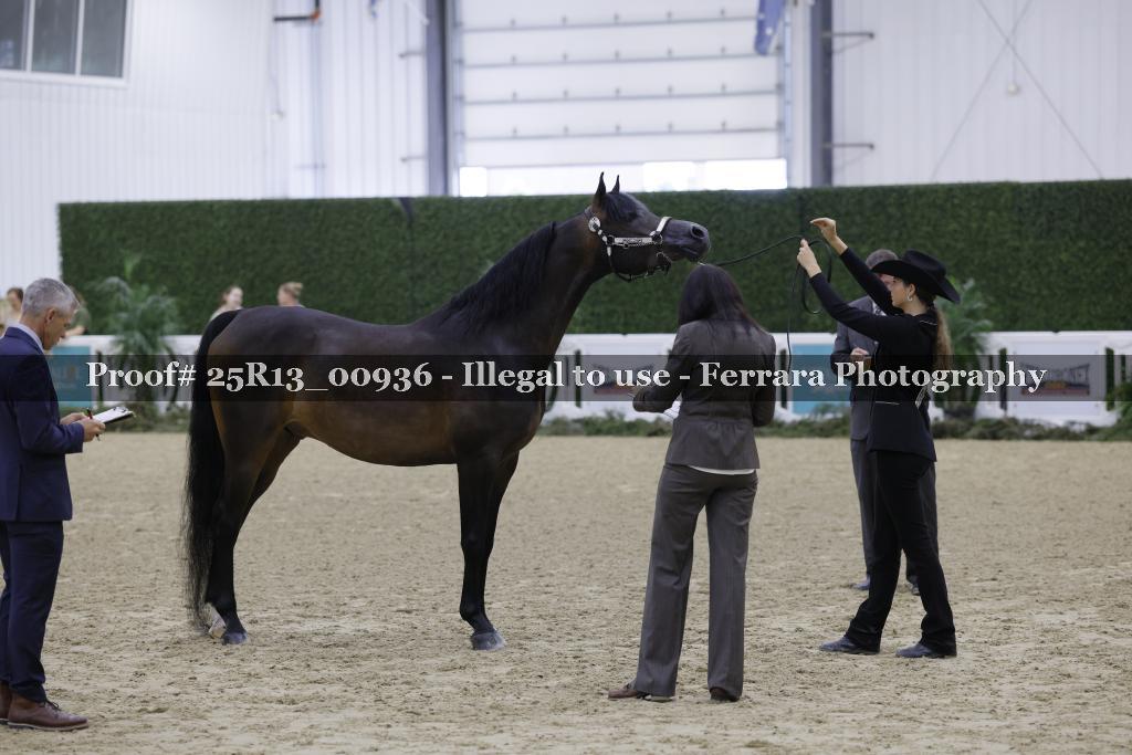 Proof 25R13_00936