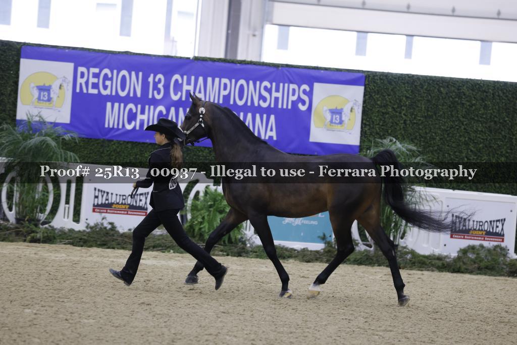Proof 25R13_00937