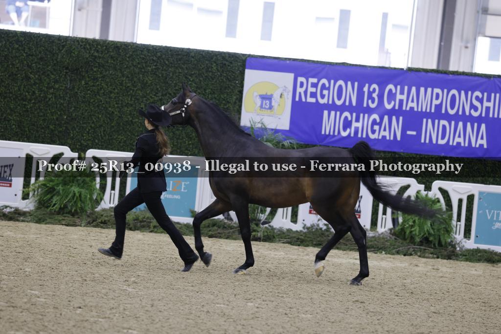 Proof 25R13_00938