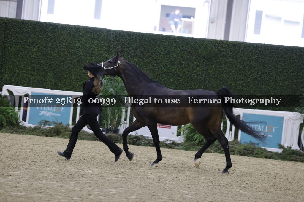 Proof 25R13_00939