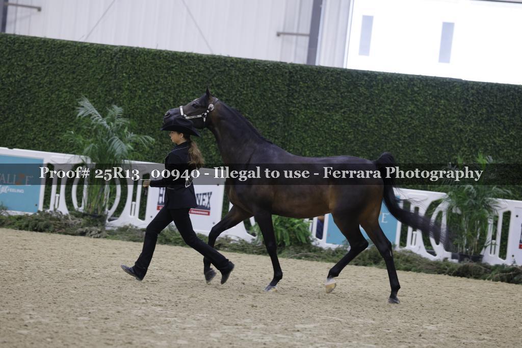 Proof 25R13_00940