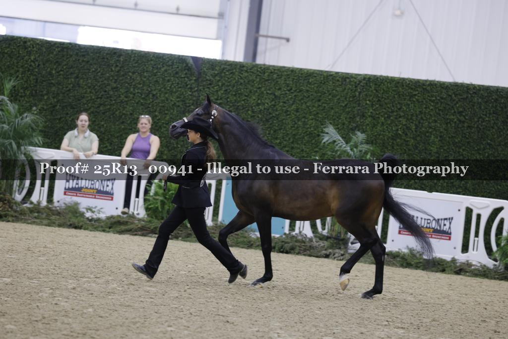 Proof 25R13_00941