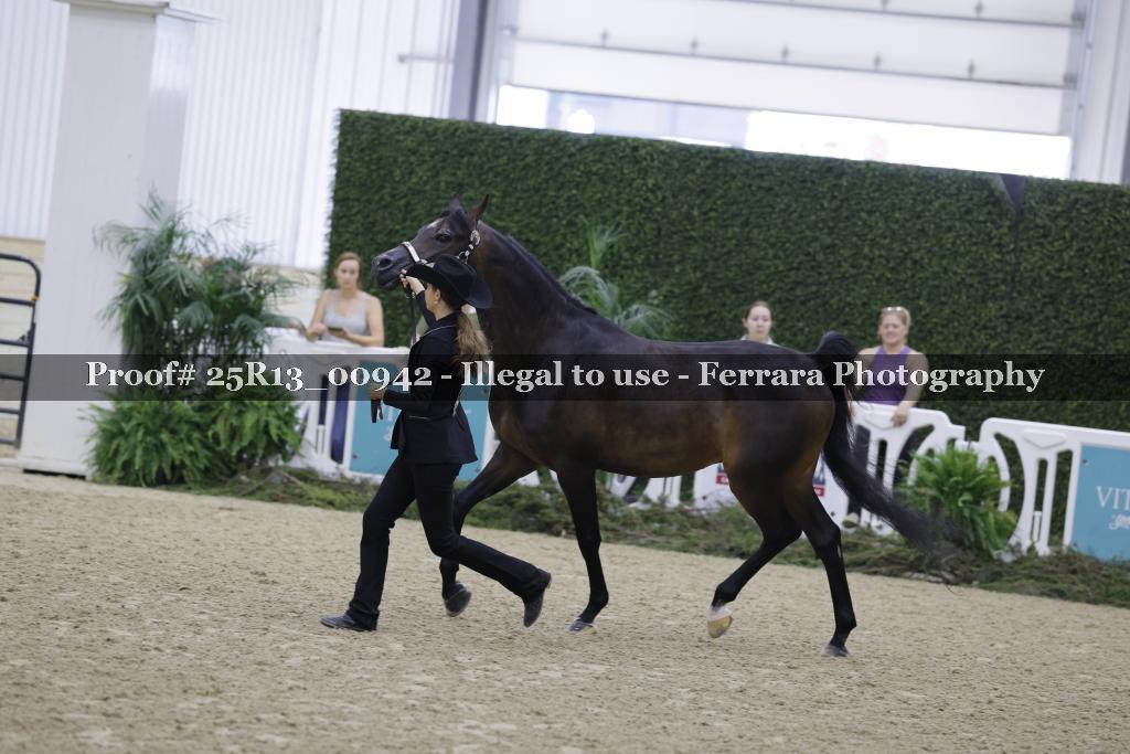 Proof 25R13_00942