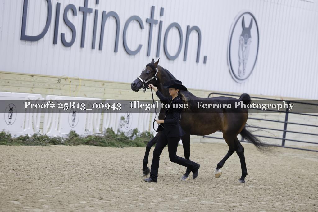 Proof 25R13_00943