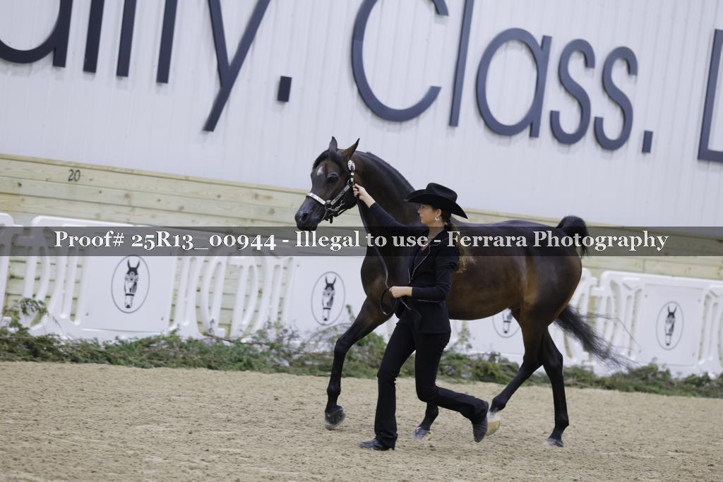 Proof 25R13_00944