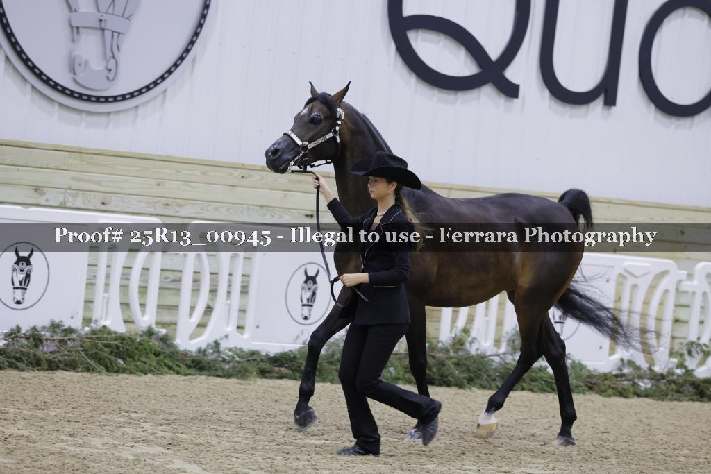Proof 25R13_00945