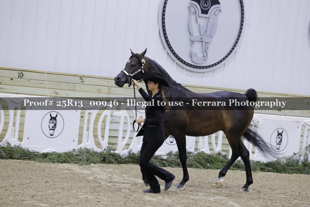 Proof 25R13_00946