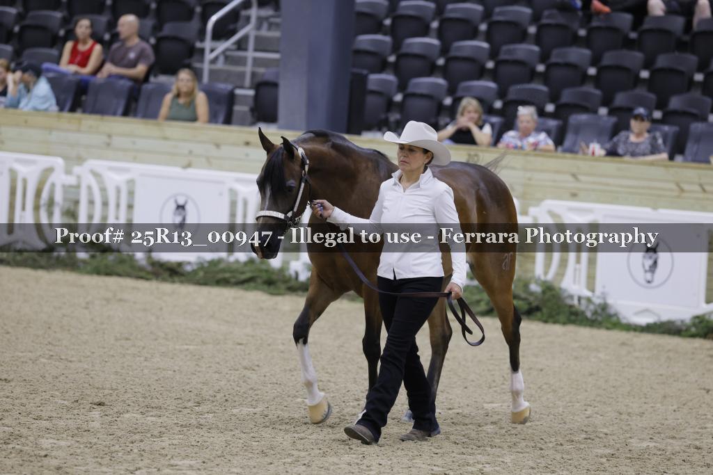 Proof 25R13_00947