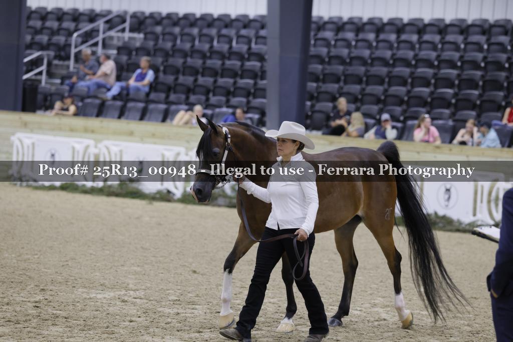 Proof 25R13_00948