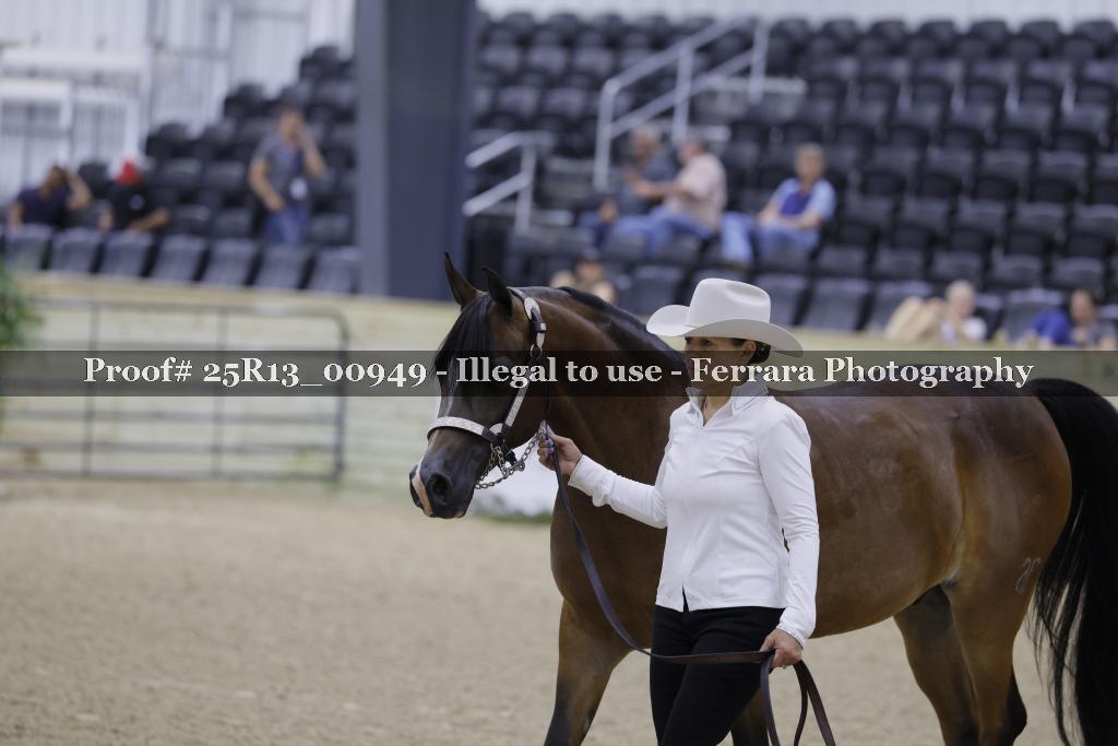 Proof 25R13_00949