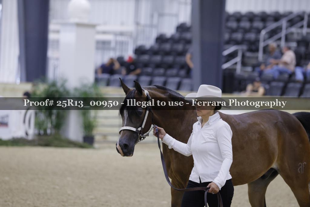 Proof 25R13_00950