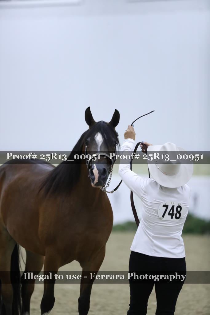Proof 25R13_00951