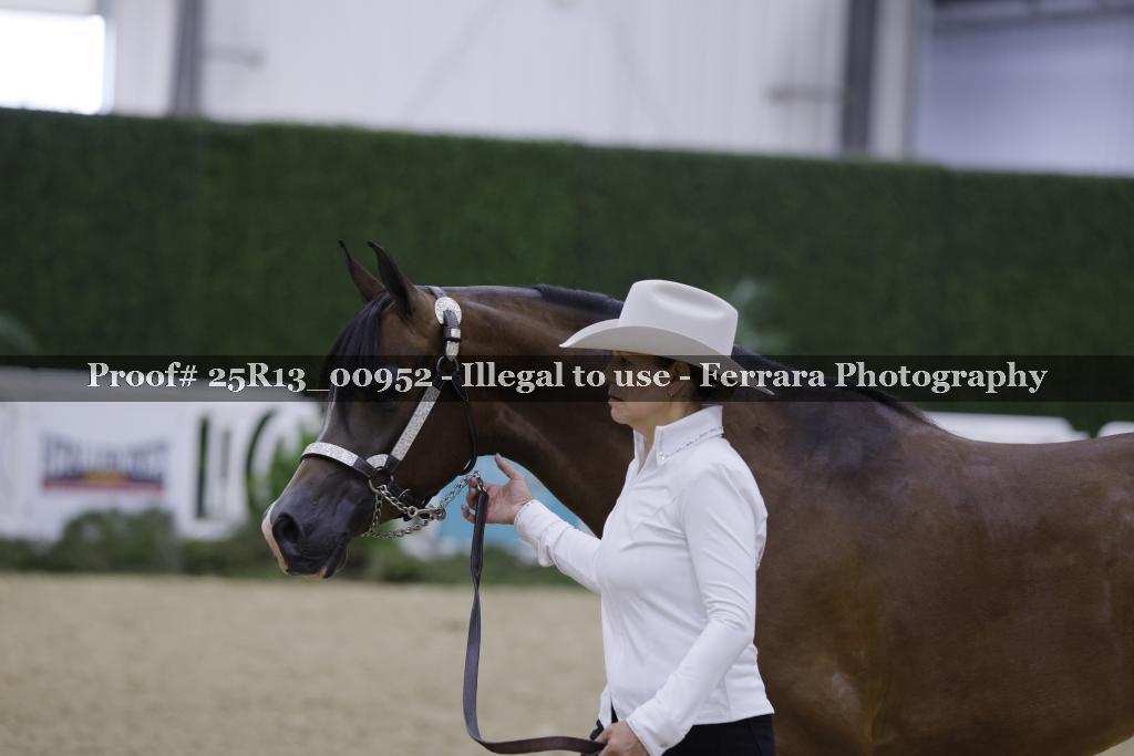 Proof 25R13_00952