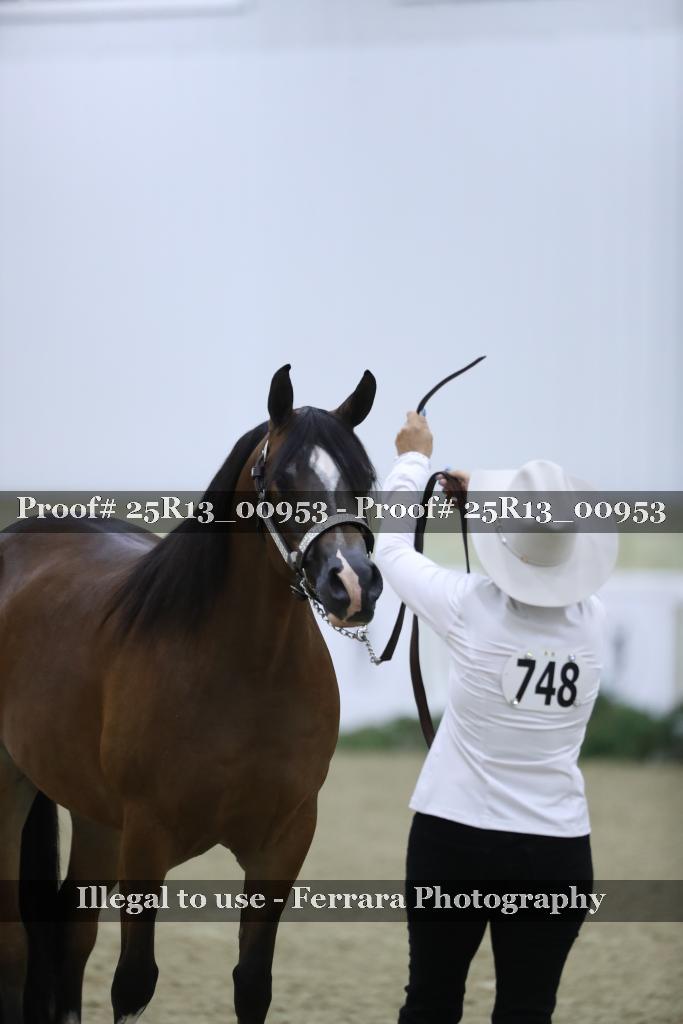 Proof 25R13_00953