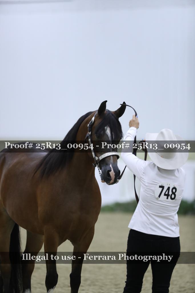 Proof 25R13_00954