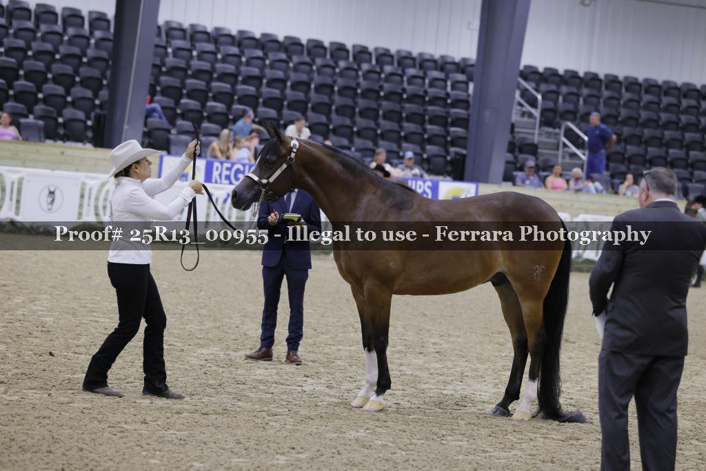 Proof 25R13_00955