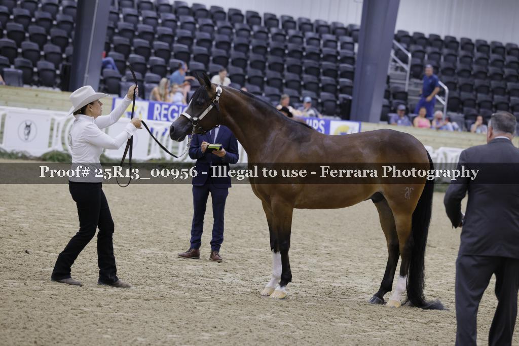 Proof 25R13_00956