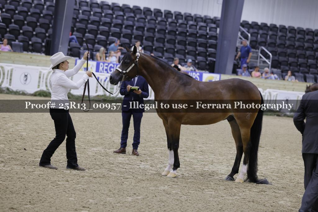 Proof 25R13_00957