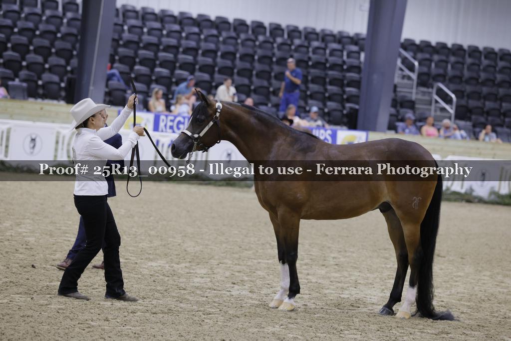 Proof 25R13_00958