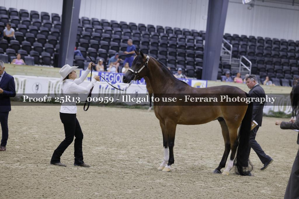 Proof 25R13_00959
