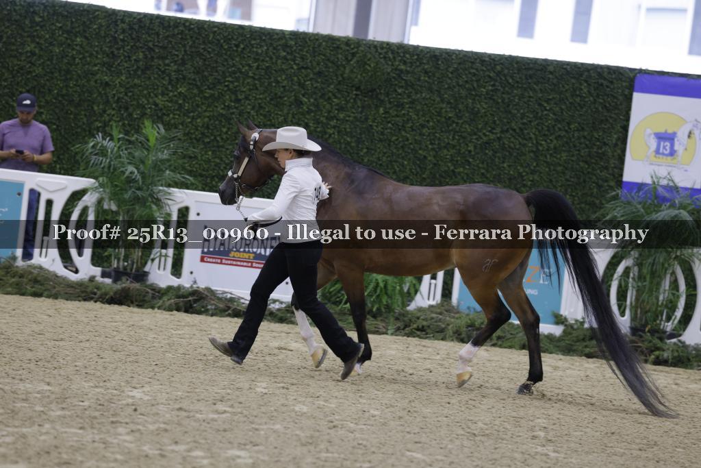 Proof 25R13_00960