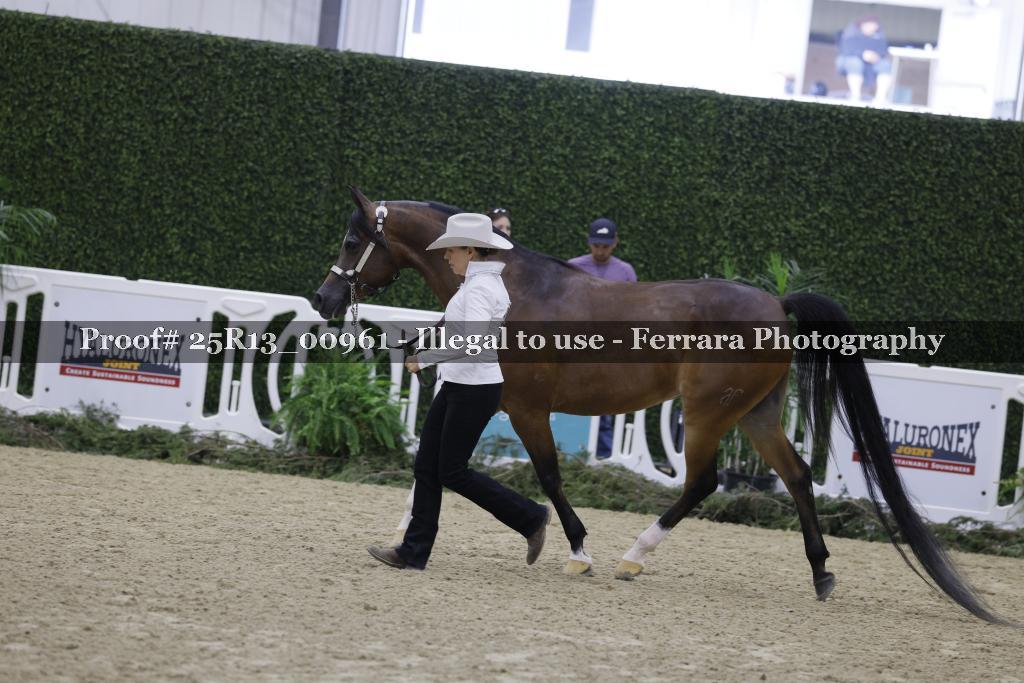 Proof 25R13_00961