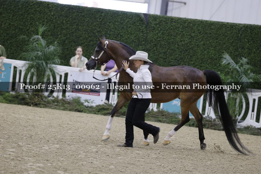 Proof 25R13_00962