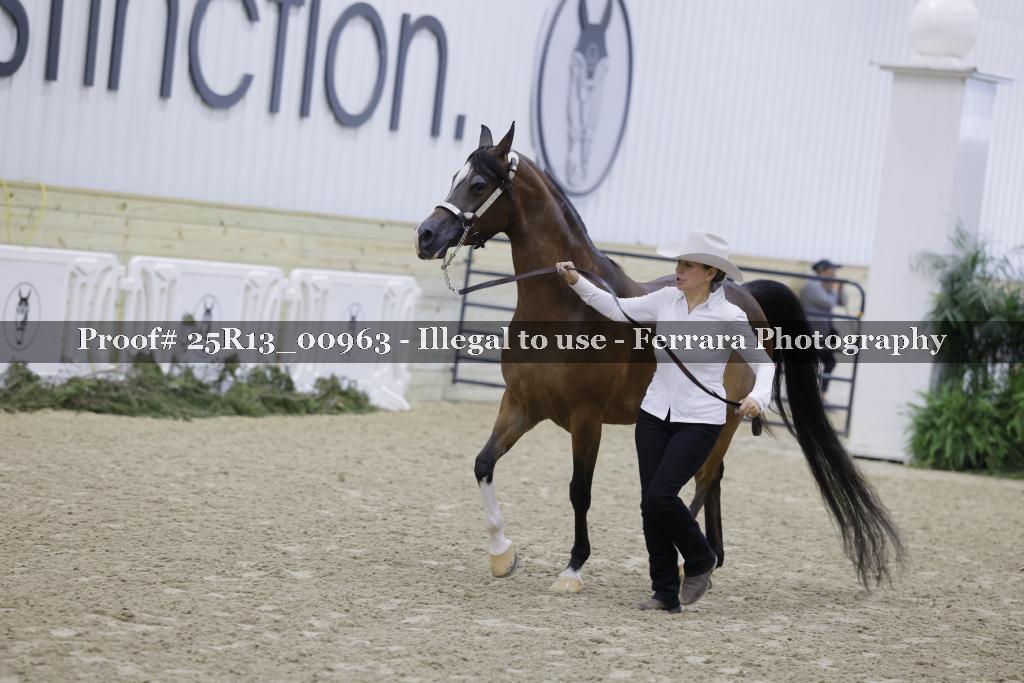 Proof 25R13_00963