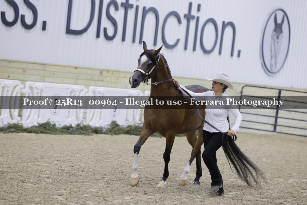 Proof 25R13_00964