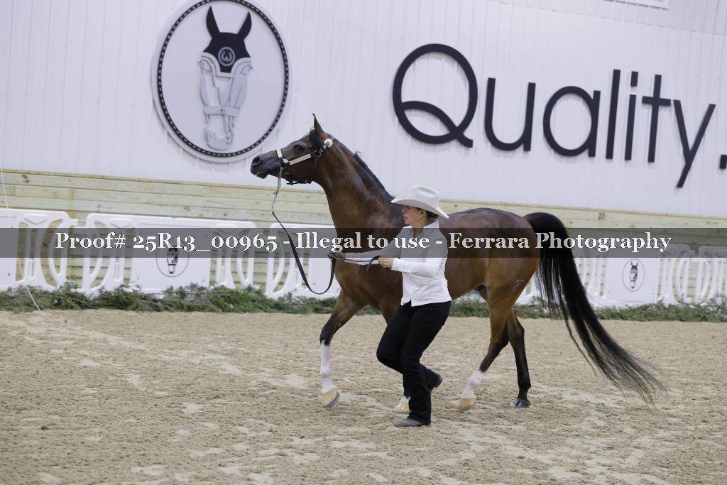 Proof 25R13_00965