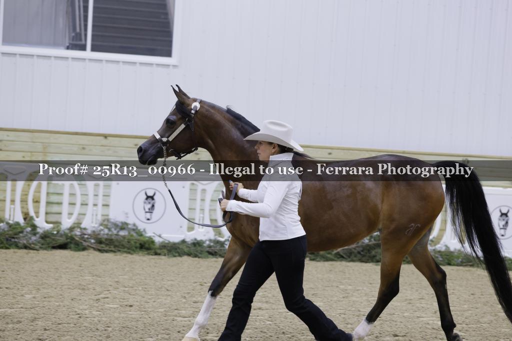 Proof 25R13_00966