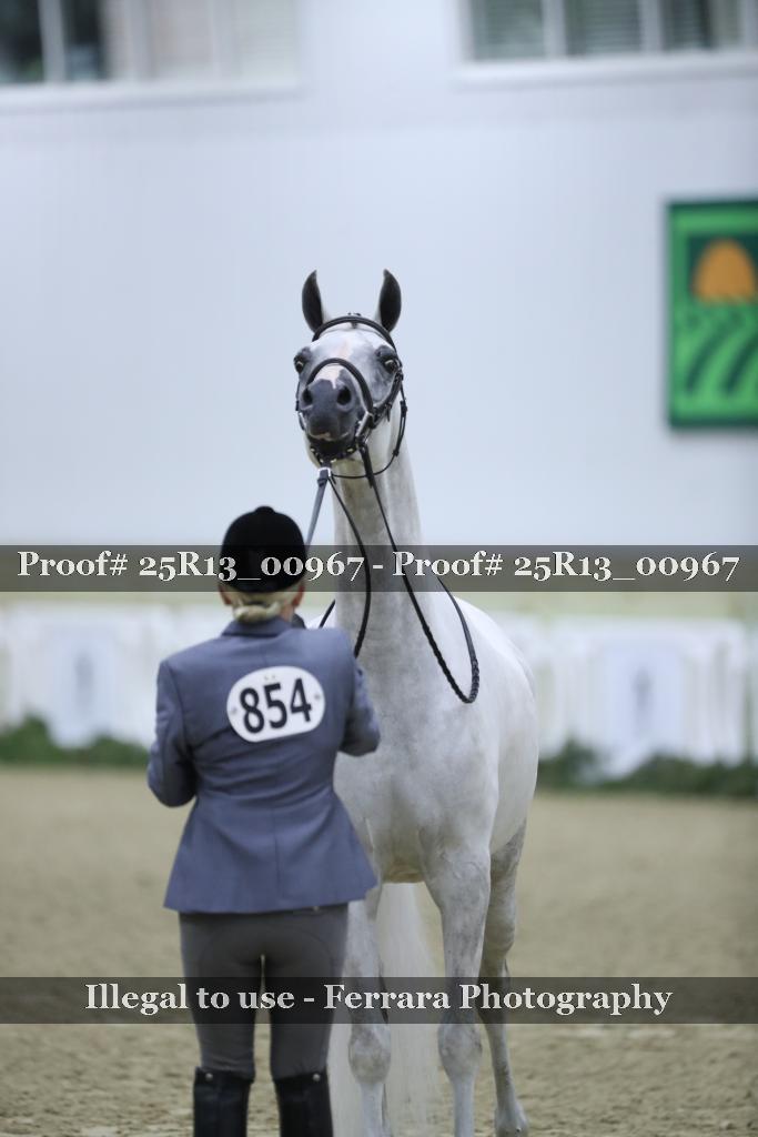 Proof 25R13_00967
