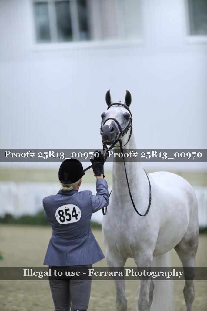 Proof 25R13_00970