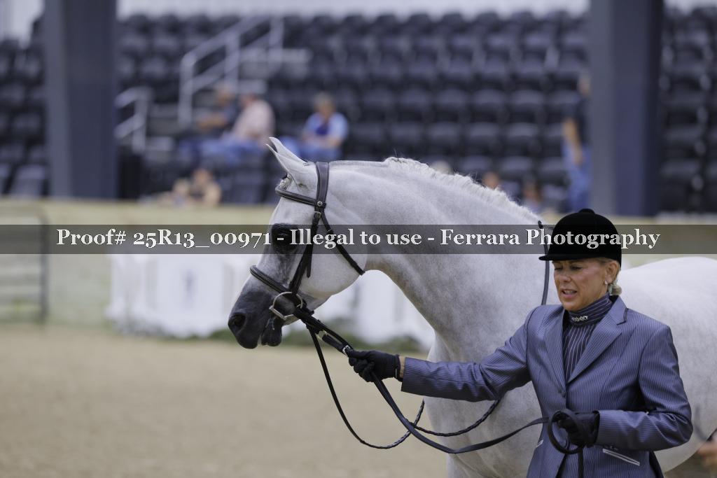 Proof 25R13_00971